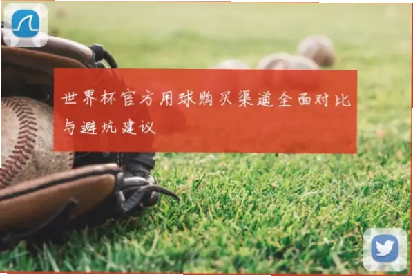 世界杯怎么买足球才安全？线下线上渠道对比